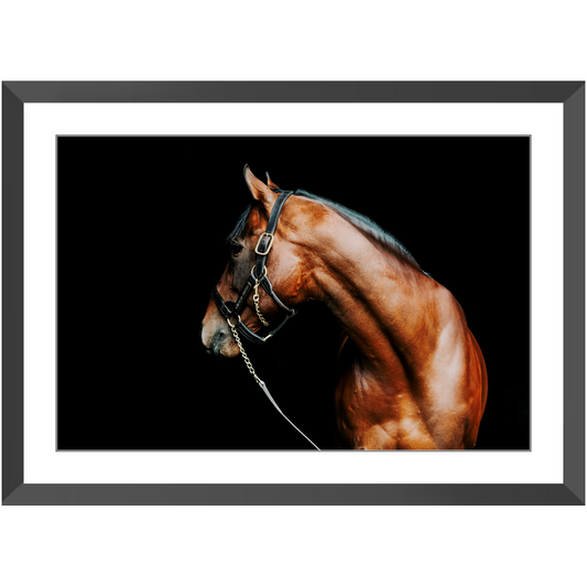 American Pharoah Series 5, Framed Print