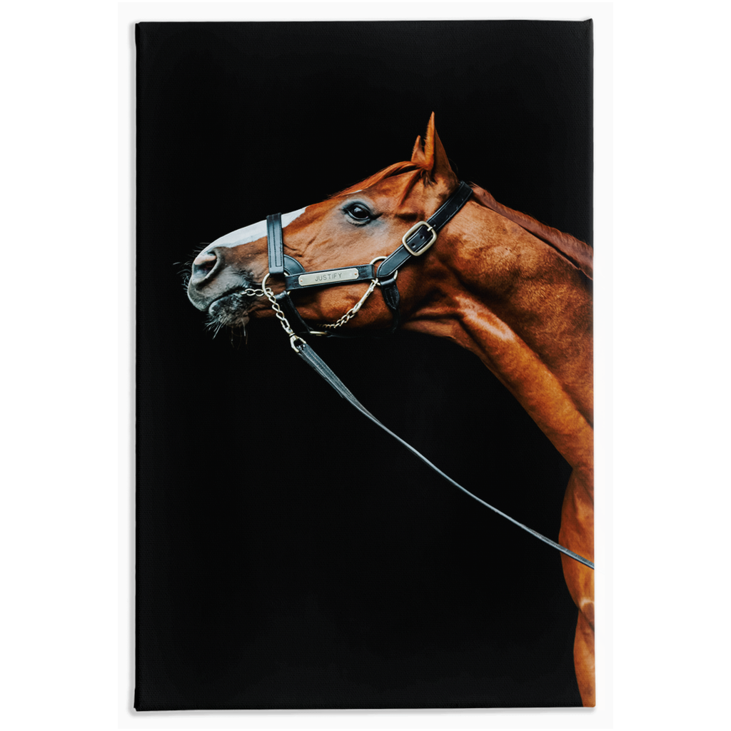 Justify Series 4, Stretched Canvas