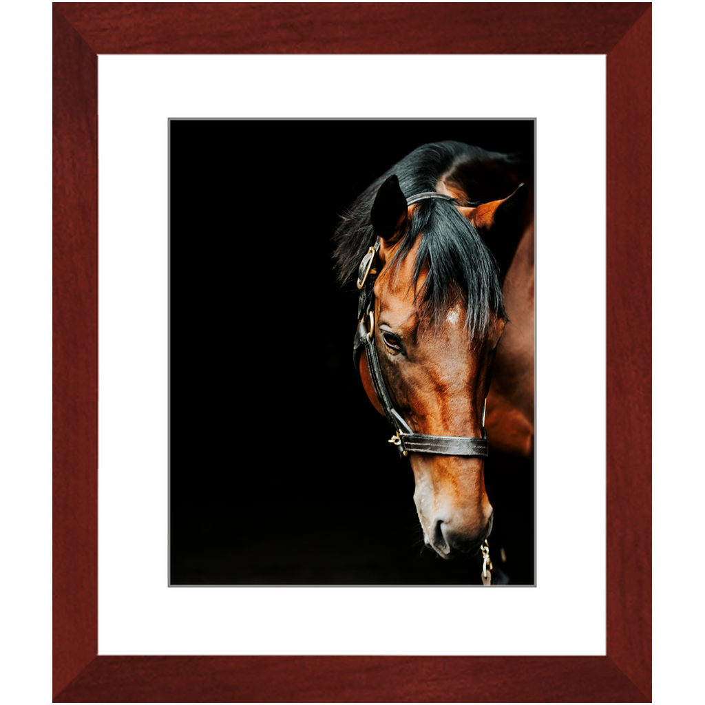 American Pharoah Series 6, Framed Print