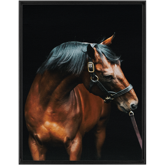 American Pharoah Series 3, Framed Canvas