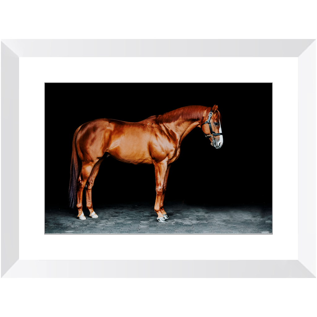 Justify Series 6, Framed Print