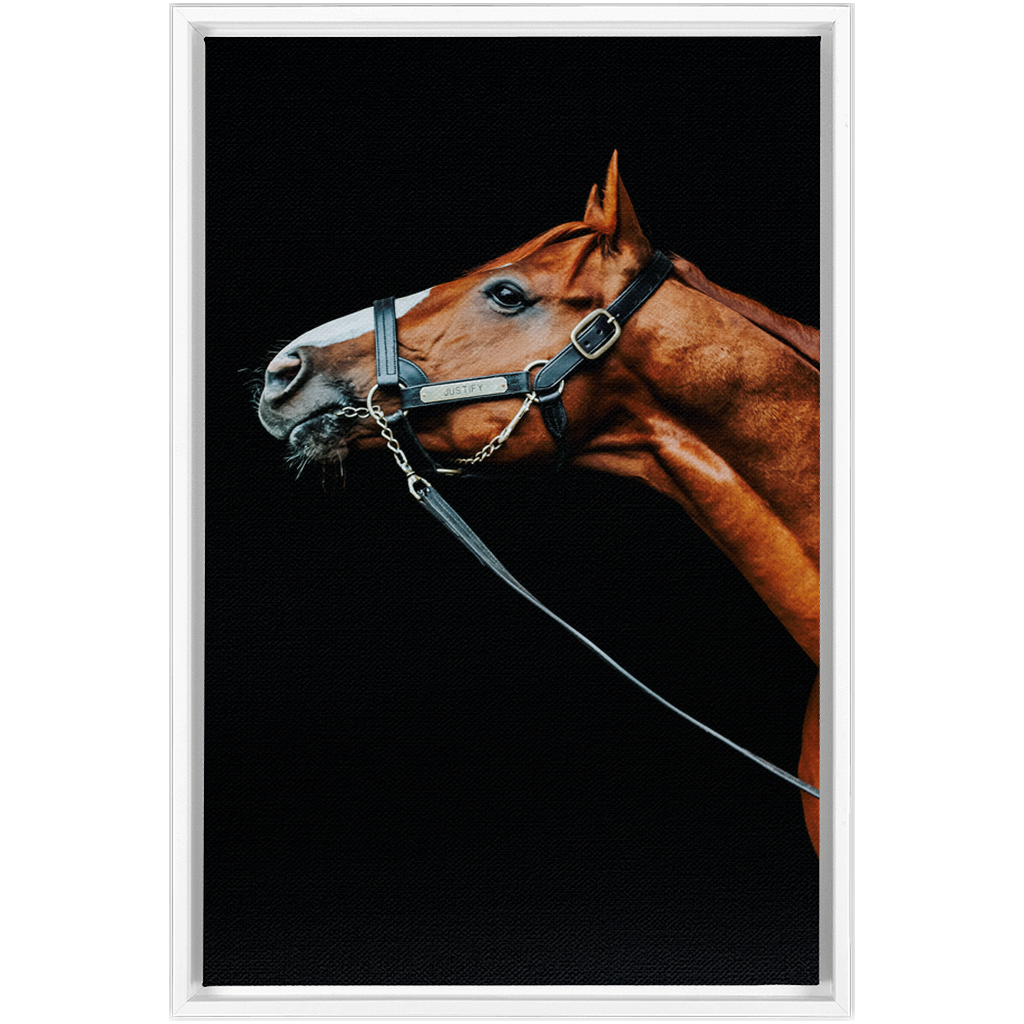 Justify Series 4, Framed Canvas