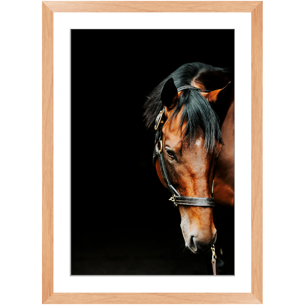 American Pharoah Series 6, Framed Print