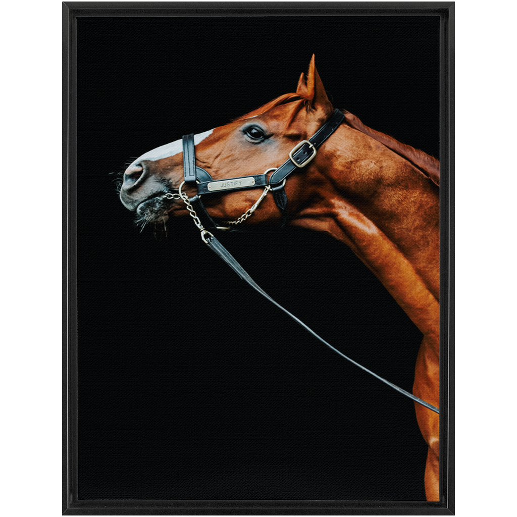 Justify Series 4, Framed Canvas