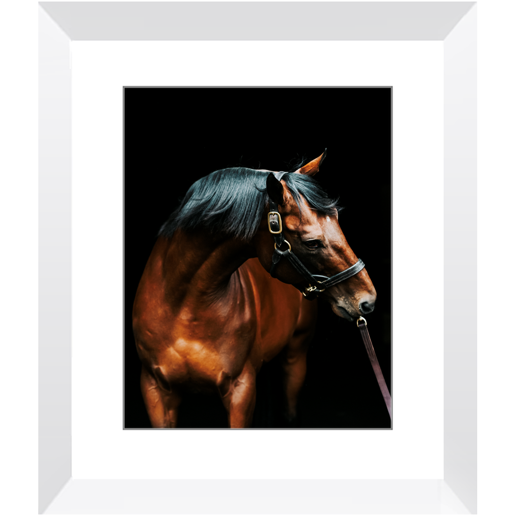 American Pharoah Series 3, Framed Print