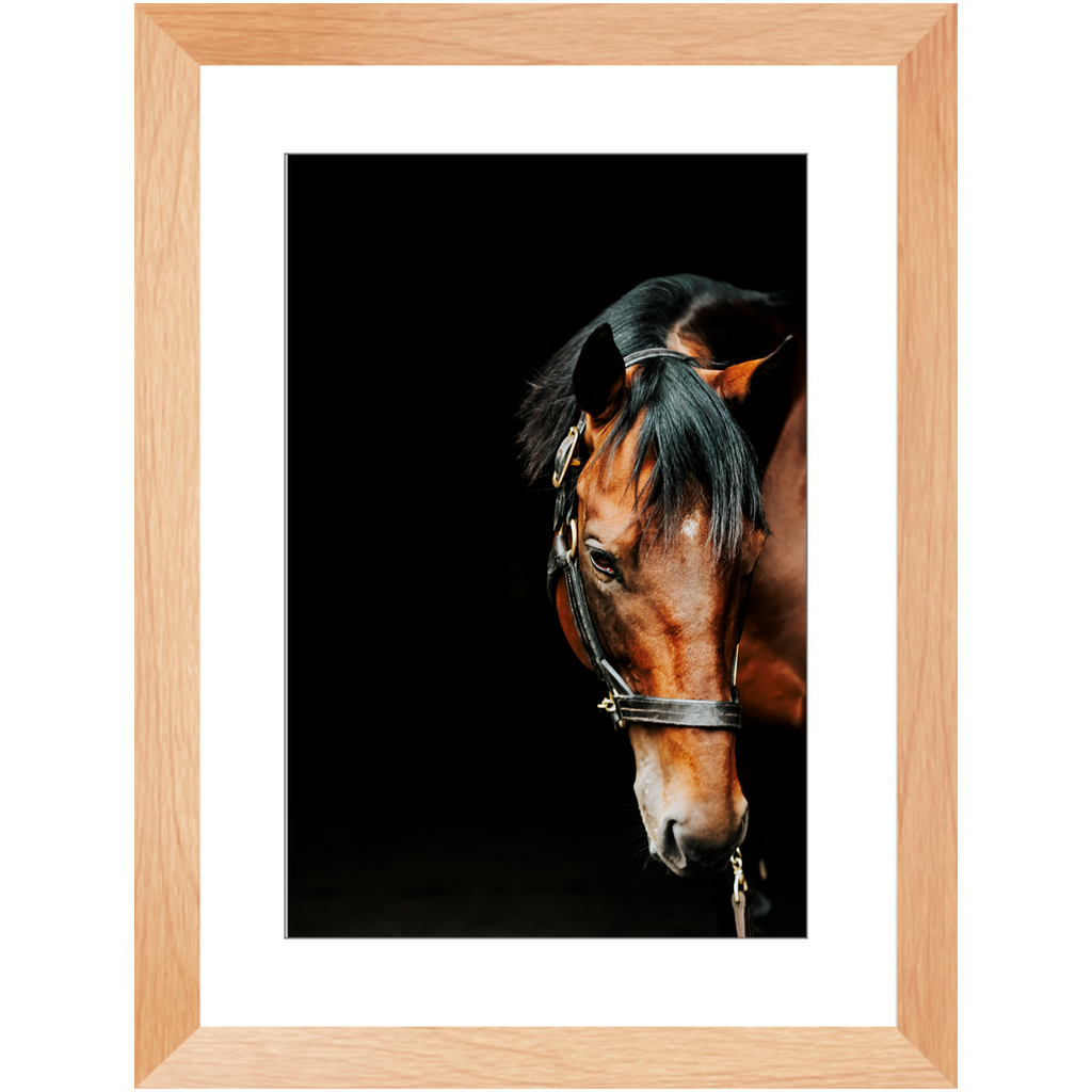 American Pharoah Series 6, Framed Print