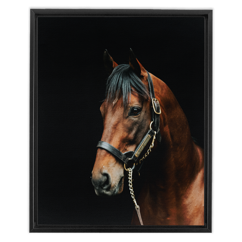 American Pharoah Series 2, Framed Canvas