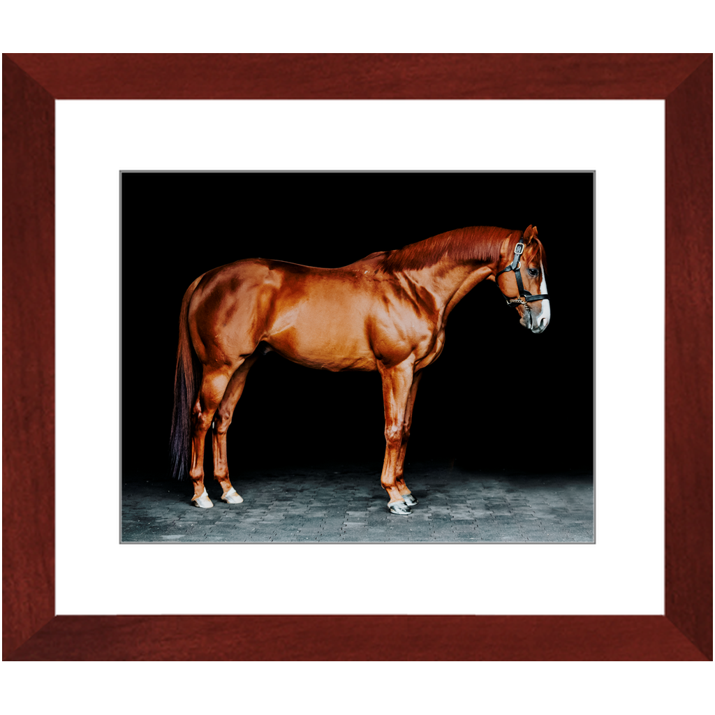 Justify Series 6, Framed Print