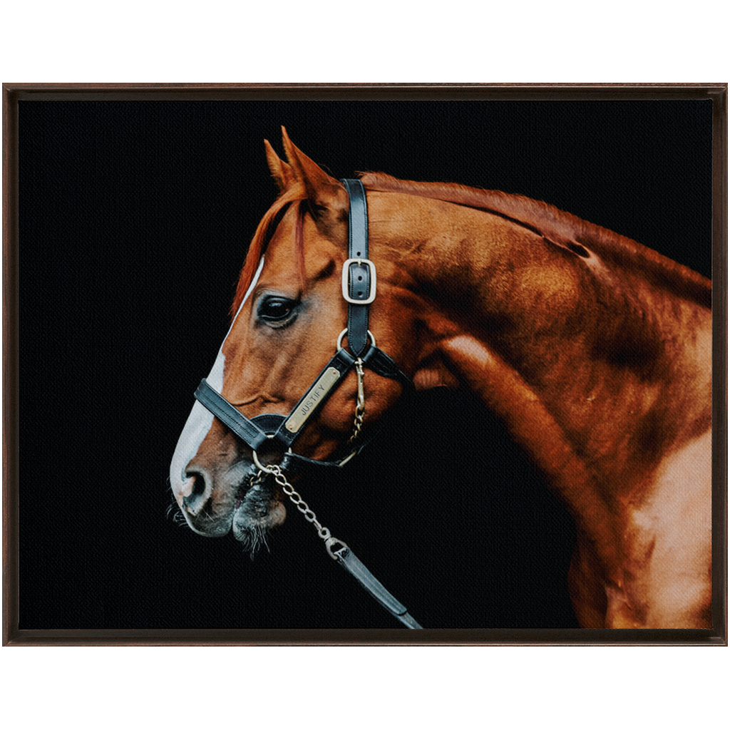 Justify Series 3, Framed Canvas