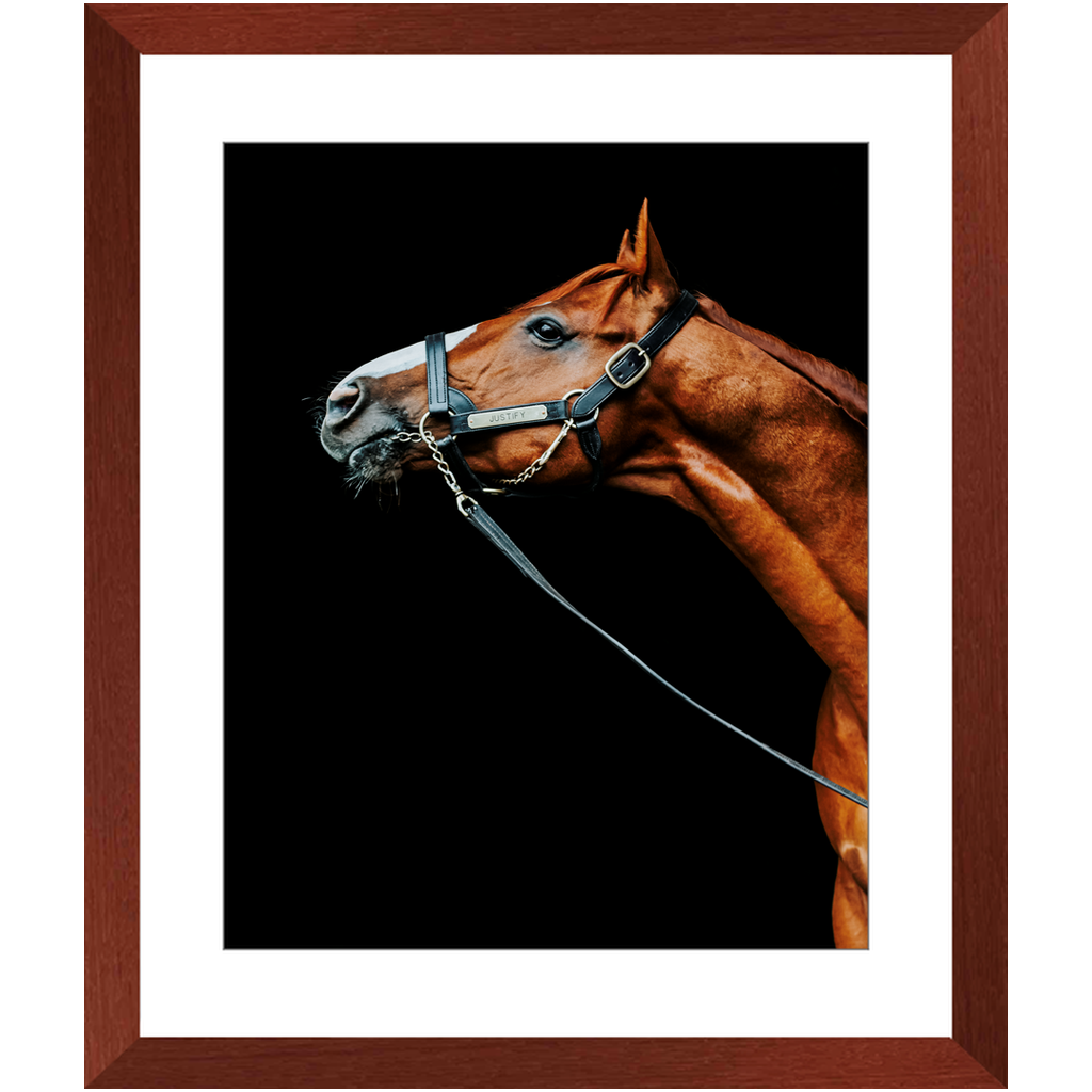 Justify Series 4, Framed Print