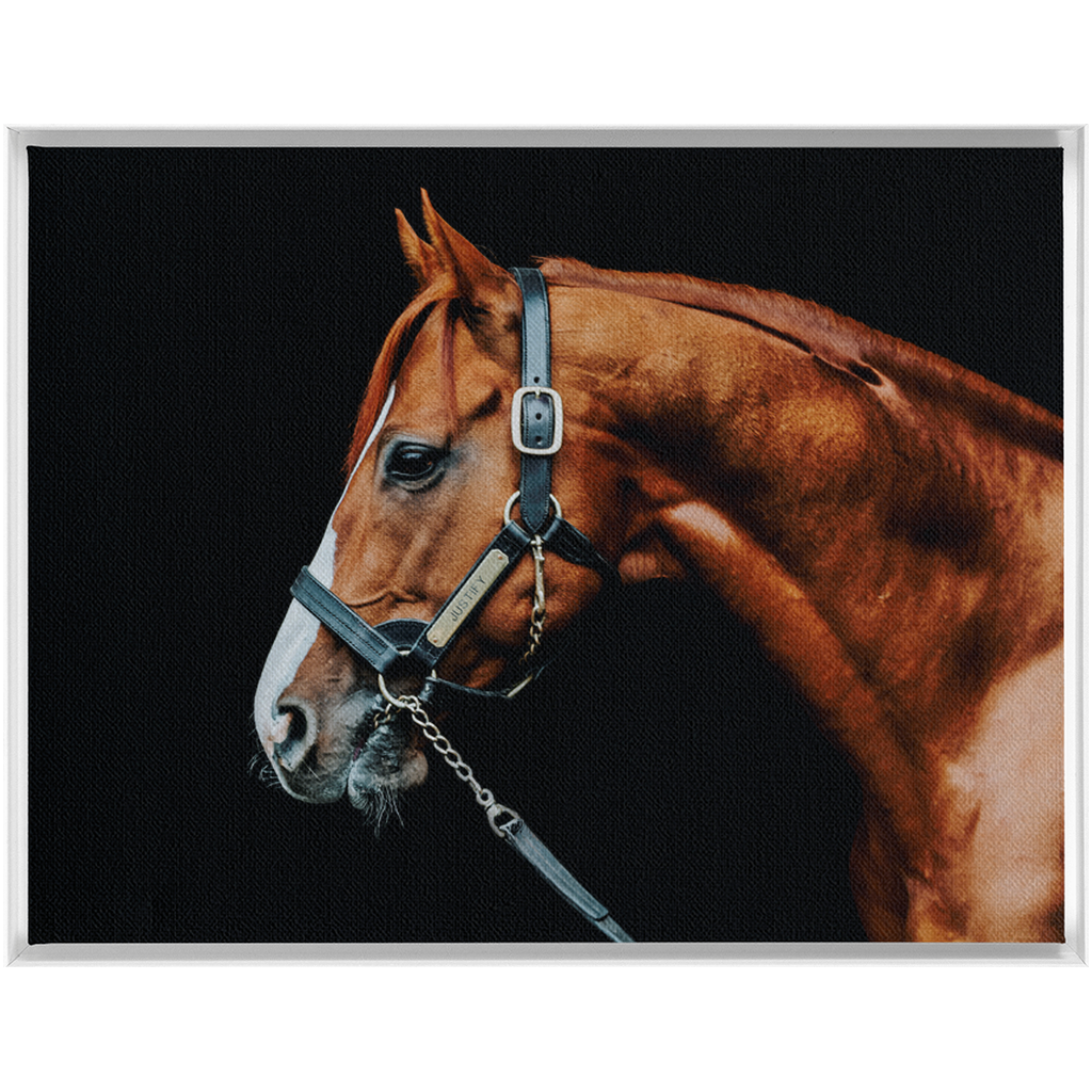 Justify Series 3, Framed Canvas