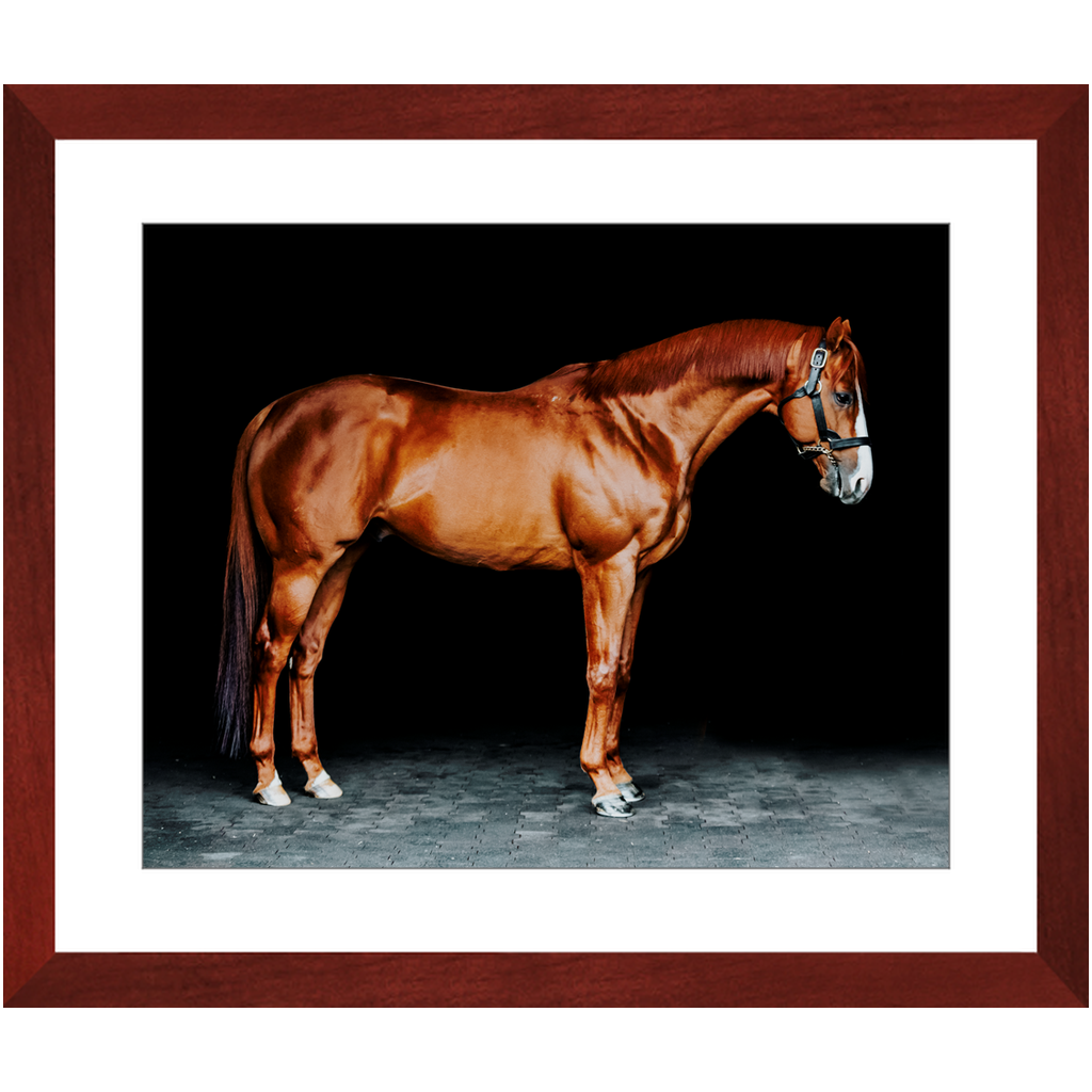 Justify Series 6, Framed Print