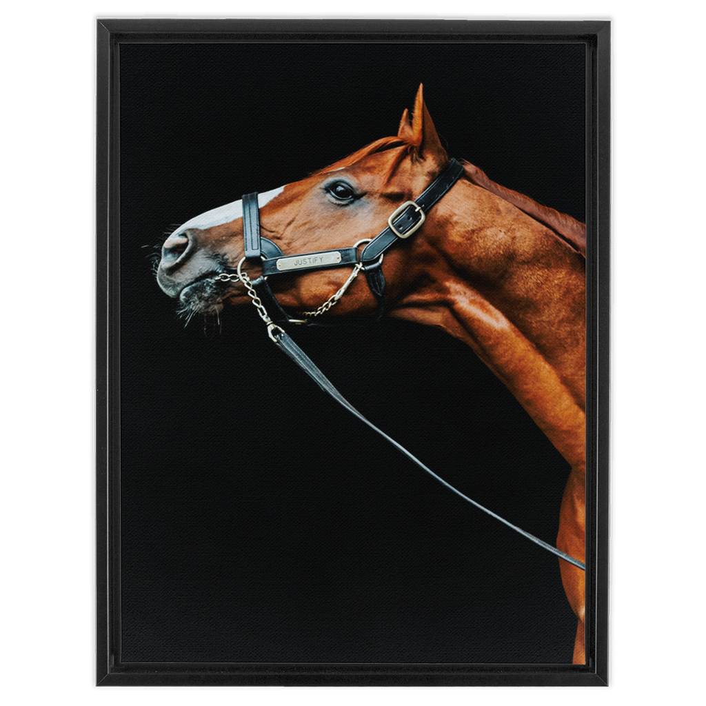 Justify Series 4, Framed Canvas