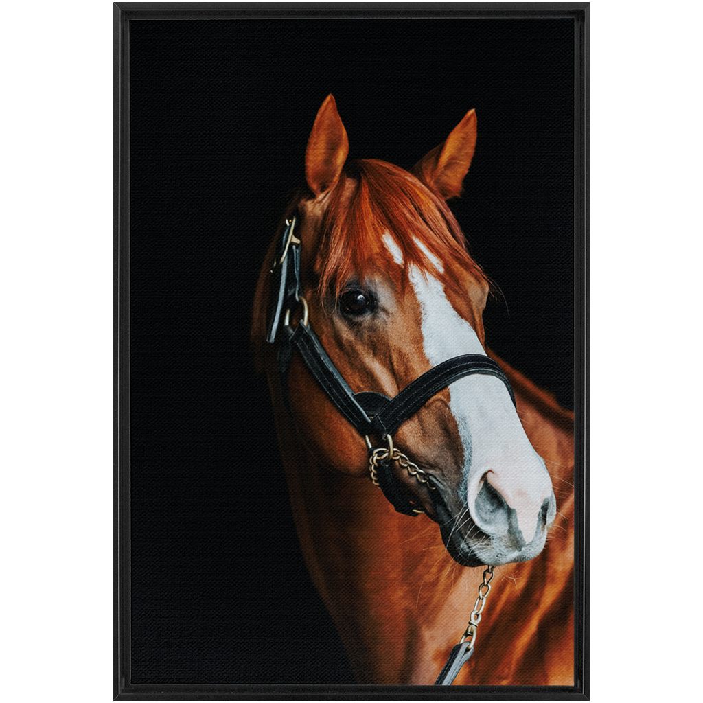 Justify Series 2, Framed Canvas