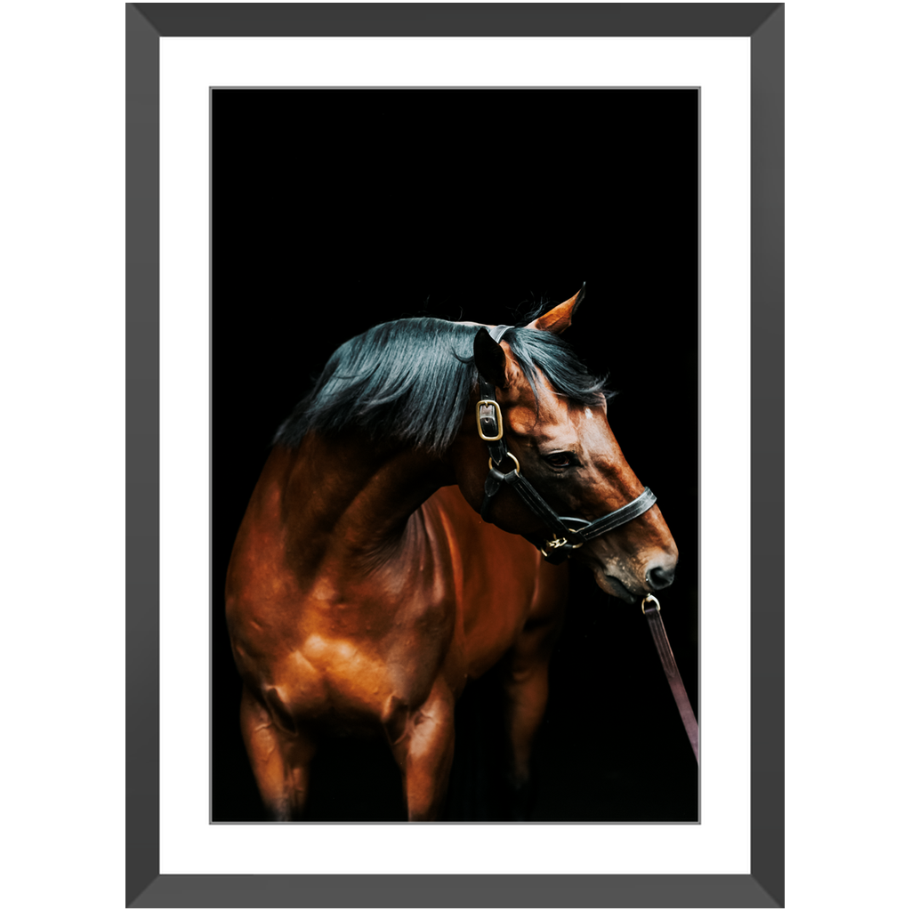 American Pharoah Series 3, Framed Print