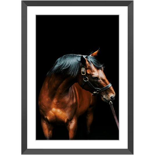 American Pharoah Series 3, Framed Print