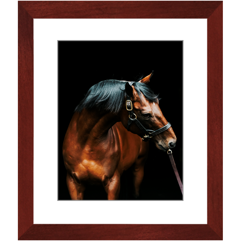 American Pharoah Series 3, Framed Print